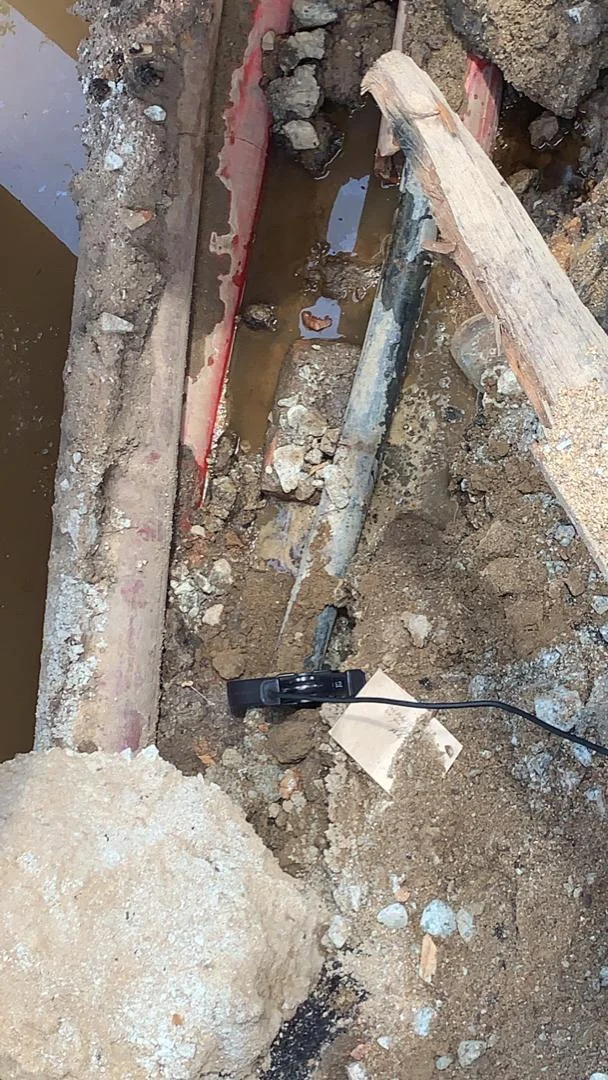 UMAP Activity - umap (19)